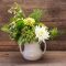 Dahlia Flowers: Cultivation And Care Tips - Green Packs