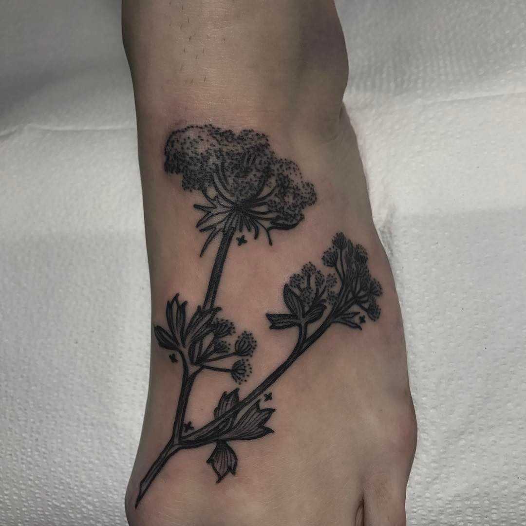 Queen Anne's Lace - QuadrupleFlower