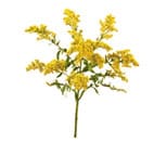 Flower Glossary - View Names &amp; Images of Flowers | Teleflora