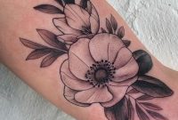 14 Beautiful Types of Anemone Flowers
