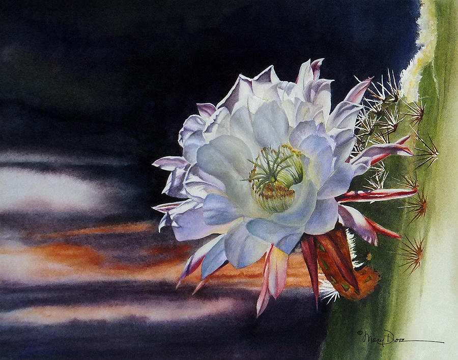 Cactus Flower Weekend - Cactus Jungle