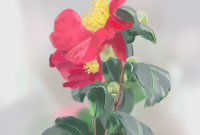 Top 10 Most Beautiful Camellia Flowers In The World - Yabibo