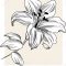14 Stunning Lily Varieties to Plant