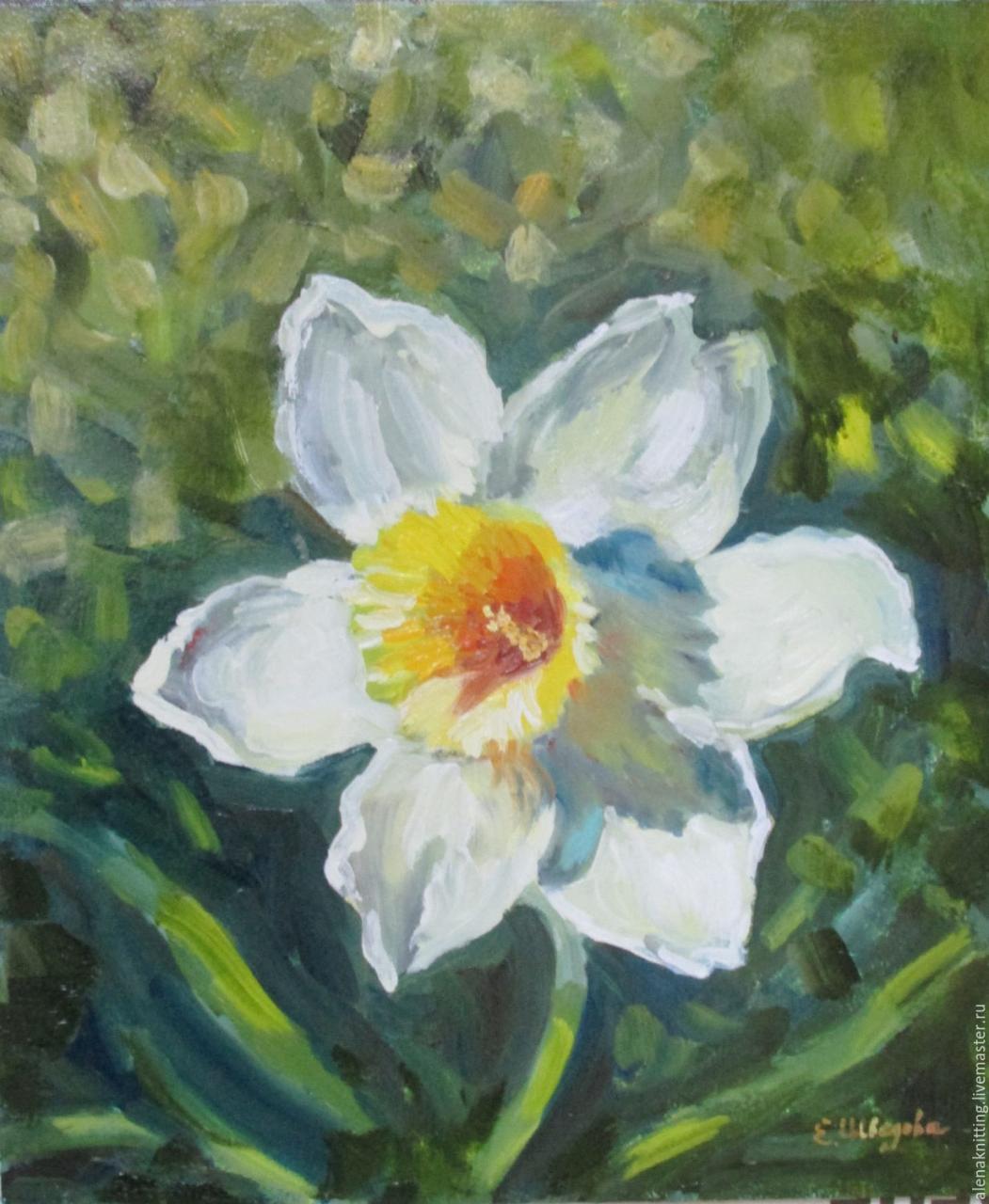 Narcissus 'Flower Record' (Large-Cupped Daffodil)